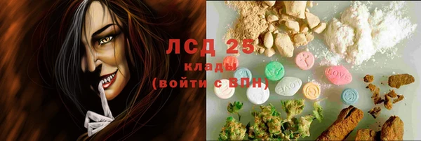 ешки Алексин