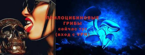 ешки Алексин