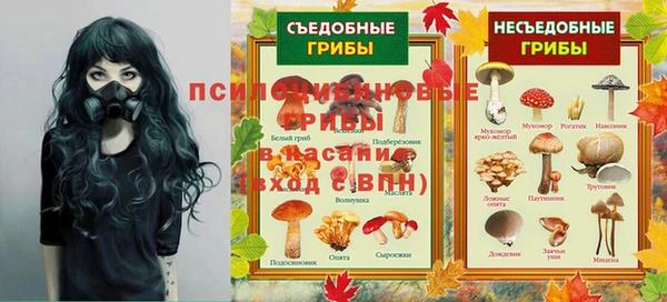 ешки Алексин