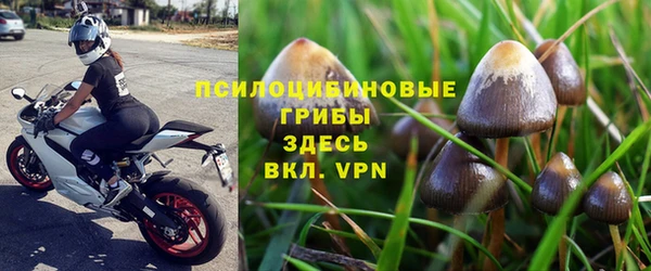 ешки Алексин