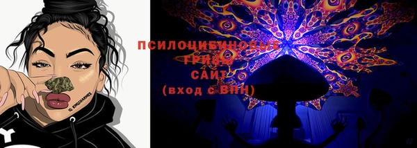 ешки Алексин