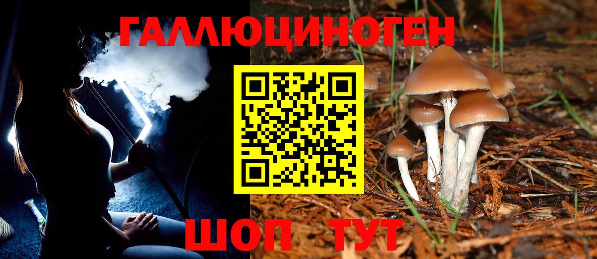 Кириши  Галлюциногенные грибы GOLDEN TEACHER  что такое наркотик  Вход с VPN 