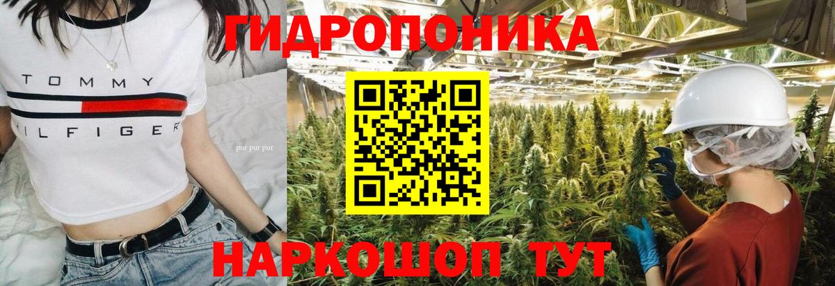 Марихуана ГИДРОПОН  Бошки марихуана индика  Вход с VPN  МАРИХУАНА планчик  Кириши 